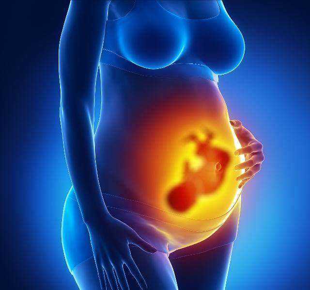 胚胎染色体异常：揭示因及其影响