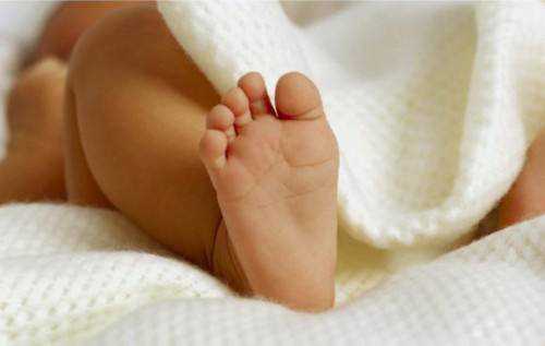 苏州捐卵哪家专业,苏州捐卵助孕机构最新百科发布，解剖2022捐卵助孕男孩费用